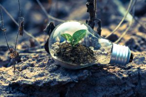Glödlampa med en planta, menat att symbolisera växthuseffekten och koldioxid