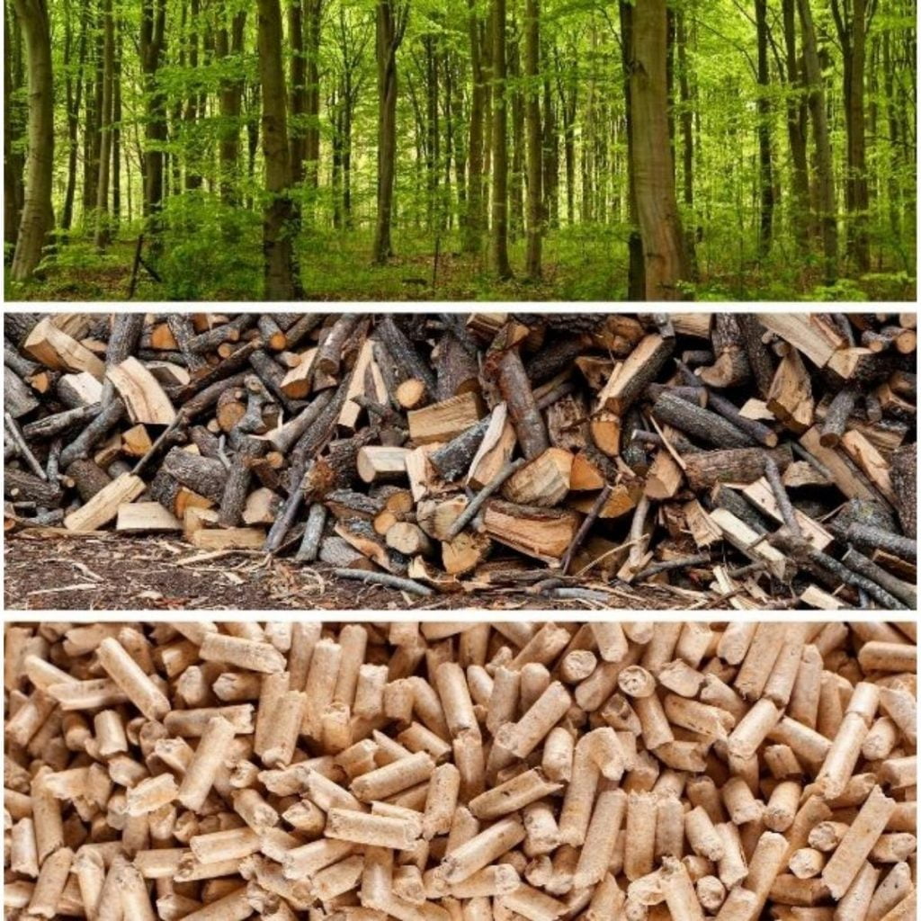 Kollage visar skog, ved och pellets